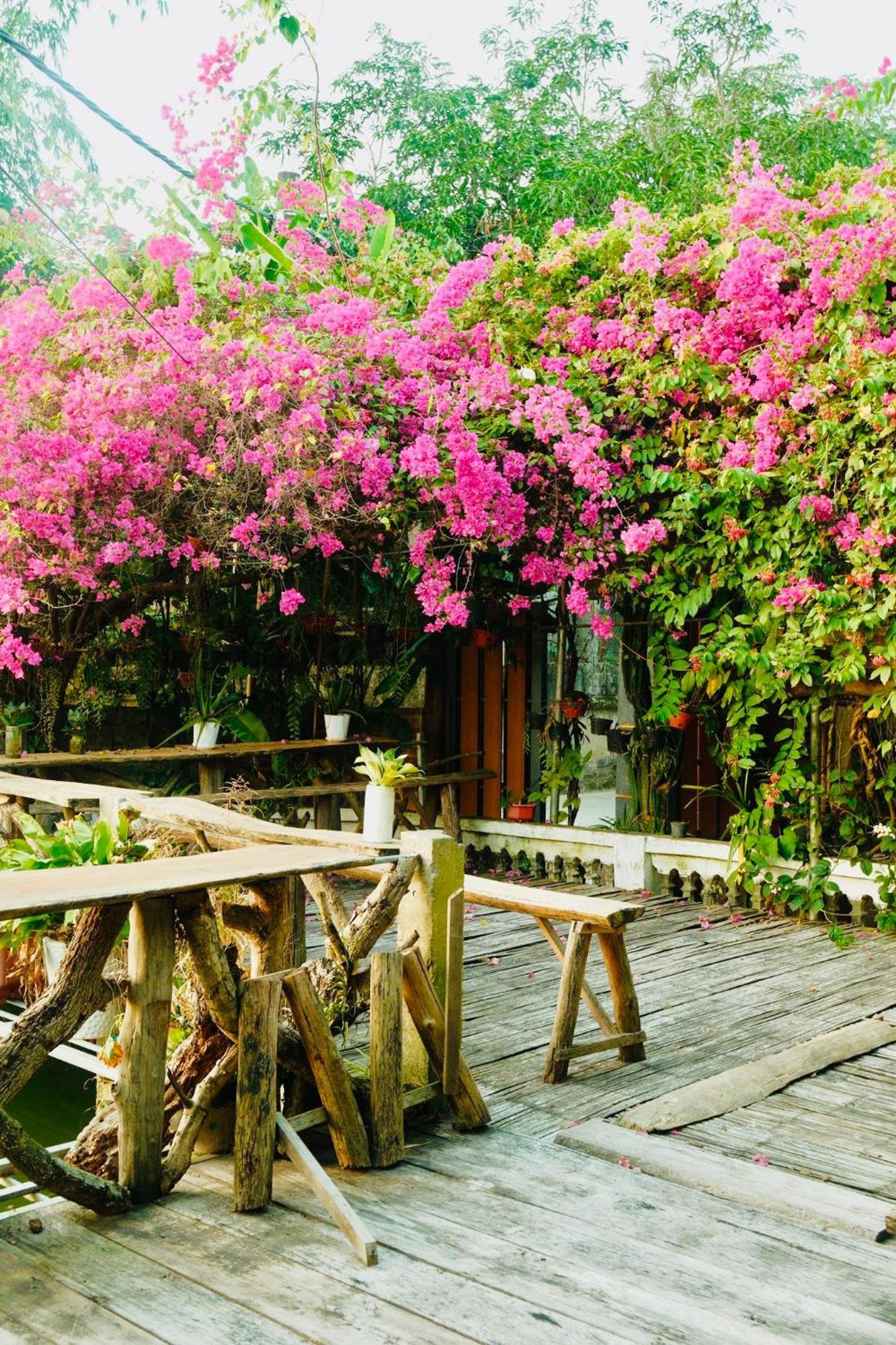 Minh Ngoc Homestay Dien Bien Phu Ban Hin Lom Exteriör bild