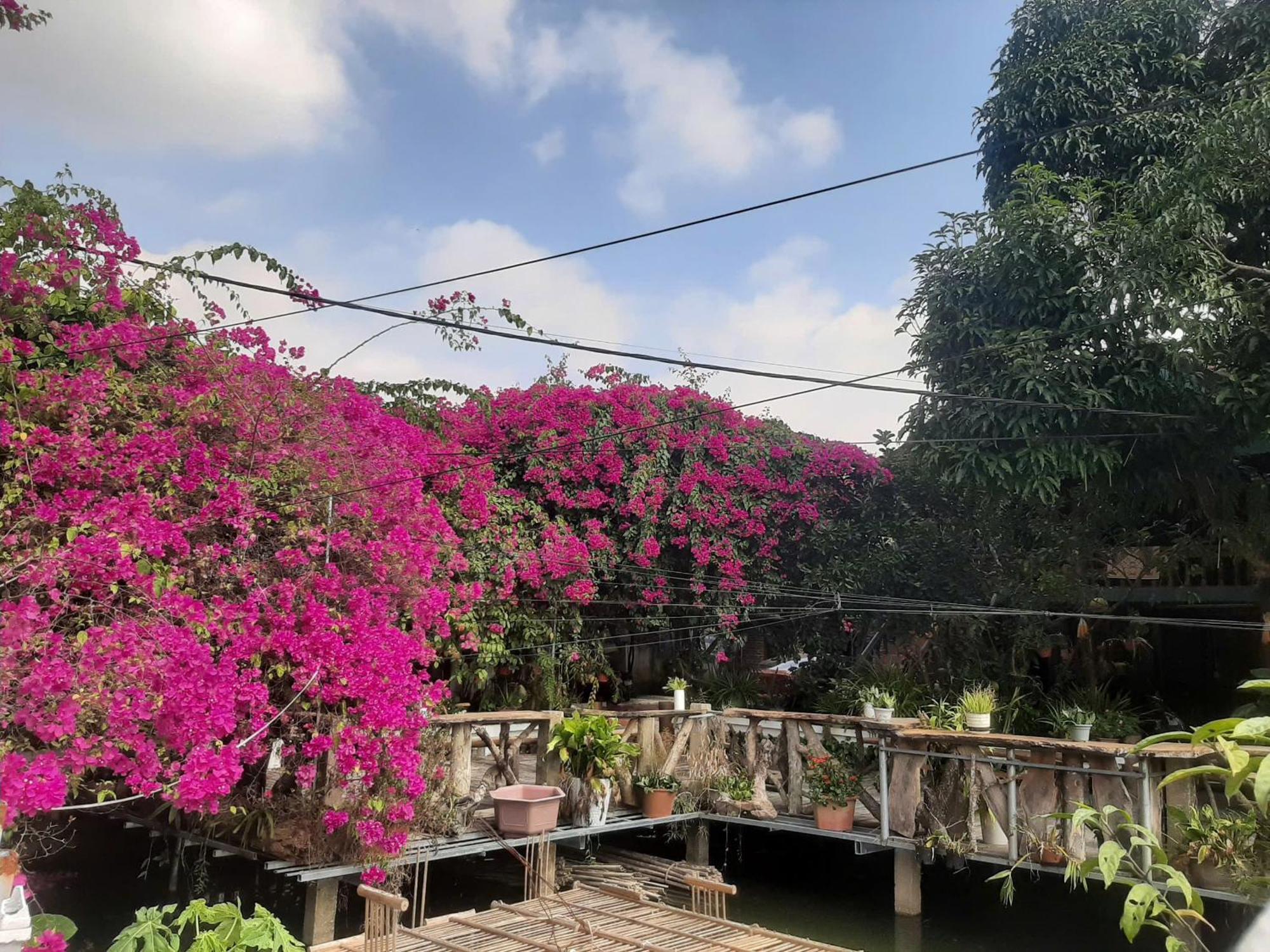 Minh Ngoc Homestay Dien Bien Phu Ban Hin Lom Exteriör bild