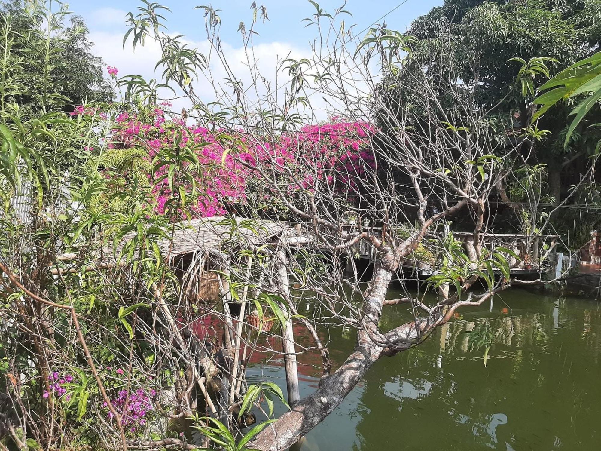 Minh Ngoc Homestay Dien Bien Phu Ban Hin Lom Exteriör bild