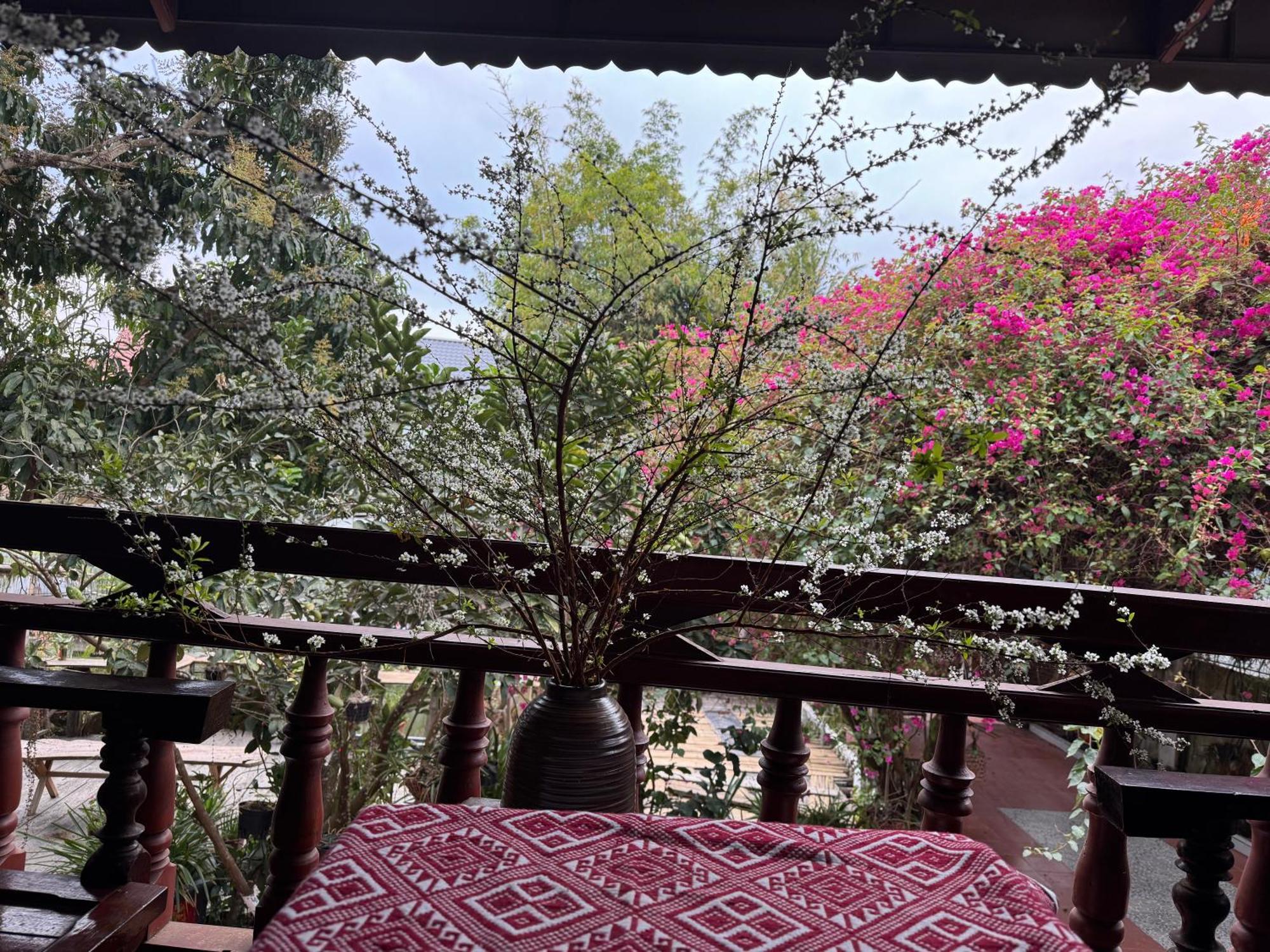 Minh Ngoc Homestay Dien Bien Phu Ban Hin Lom Exteriör bild